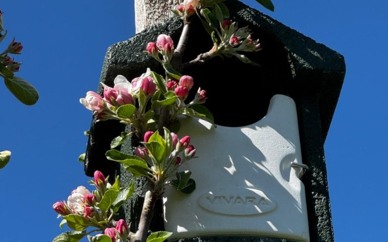 0a471433-d6a4-455e-a3c2-40c0e088f253