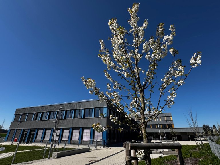 15ef1030-beee-44f9-869c-0495d78b6f12