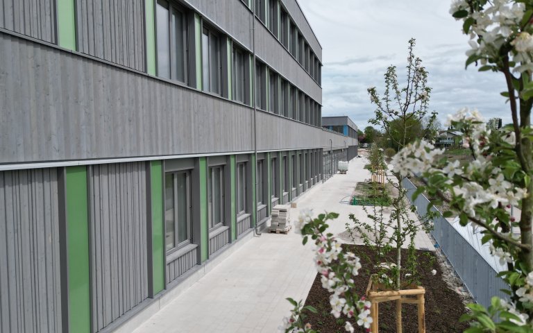 Frühling auf der Baustelle