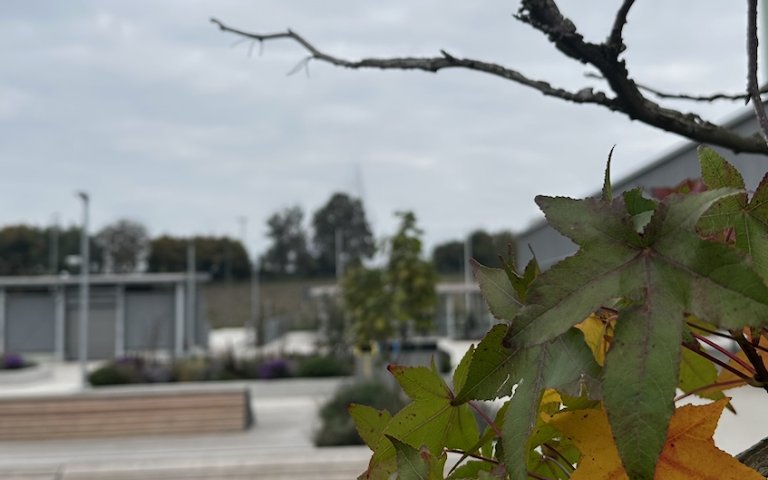 herbst2
