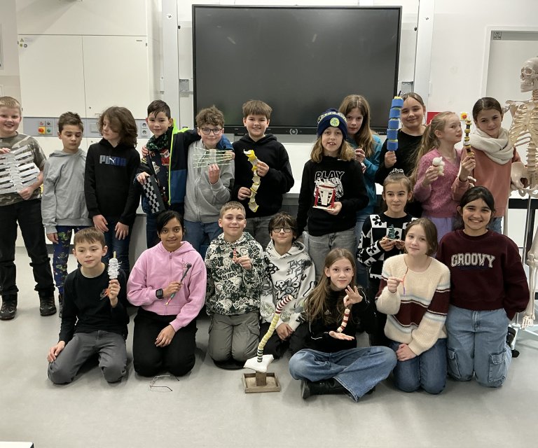 Modell Wirbelsäule 1