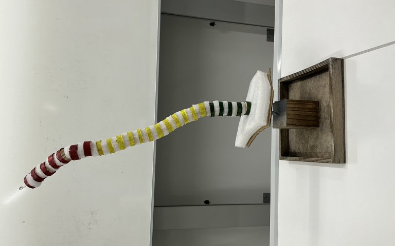 Modell Wirbelsäule 2