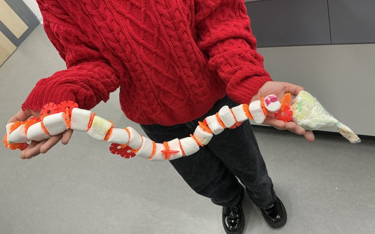 Modell Wirbelsäule 3