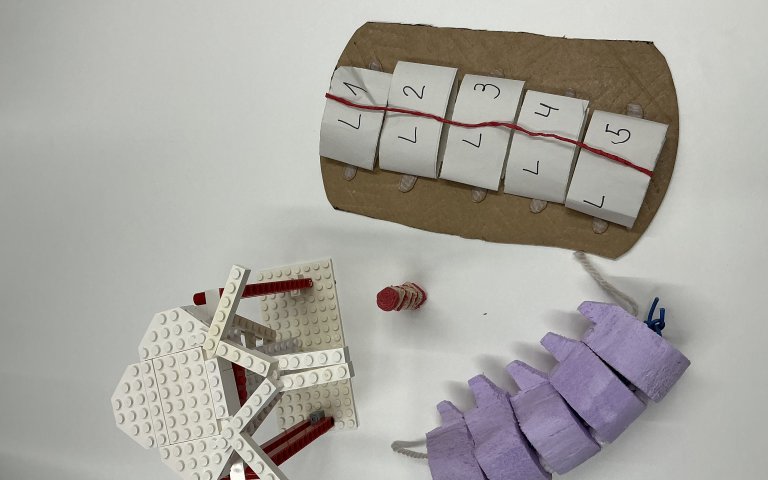 Modell Wirbelsäule 4